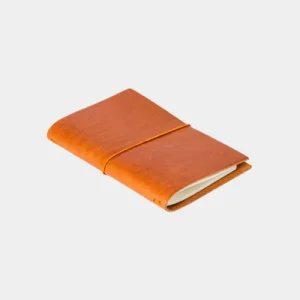 Money Wallet